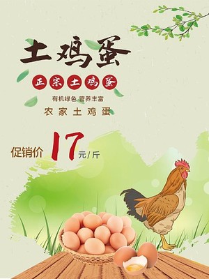 鸡蛋LOGO与土鸡蛋 品质与销量的视觉密码