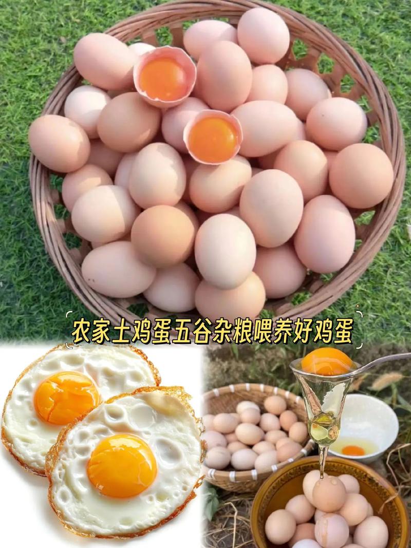 农家土鸡蛋 自然的味道与营养的承诺